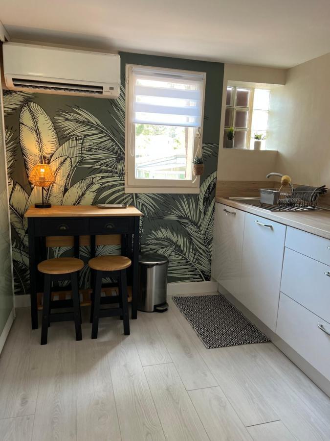 Appartement Proche Village Naturiste, Terrasse Et Parking Agde Dış mekan fotoğraf